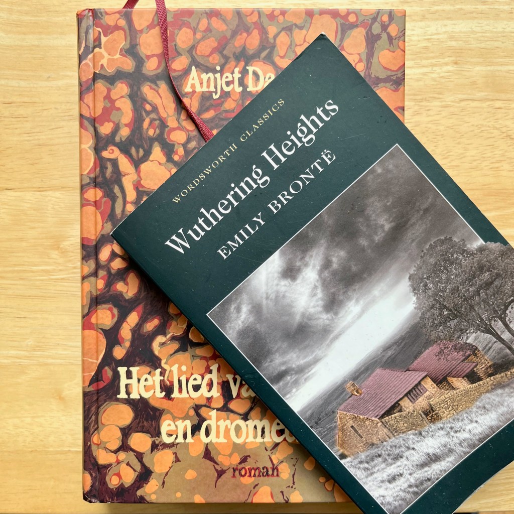 Hoe word je een fangirl?: Het lied van ooievaar en dromedaris van Anjet&nbsp;Daanje